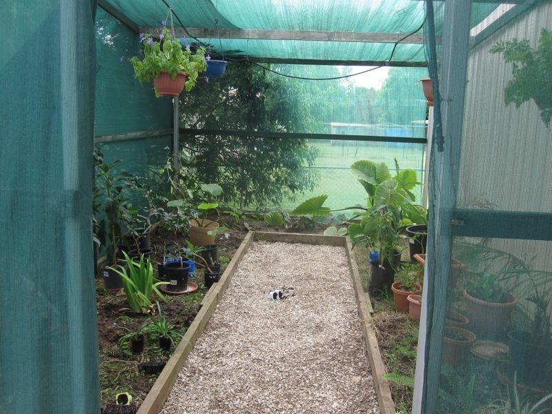 64 Barrow Street, Gayndah QLD 4625