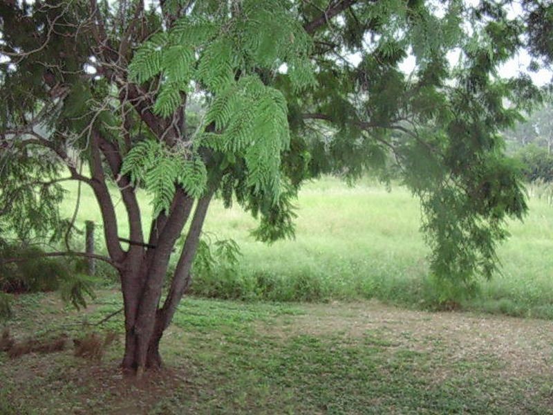 8 Boyd Road, Gayndah QLD 4625