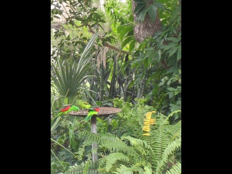 113 Capper Street, Gayndah QLD 4625