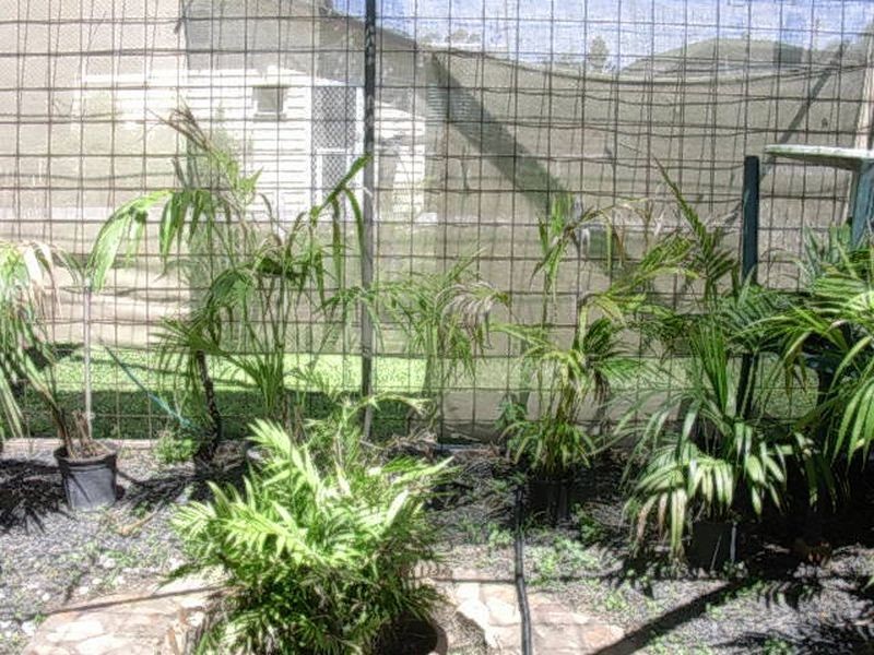 4 Meyer Street, Gayndah QLD 4625