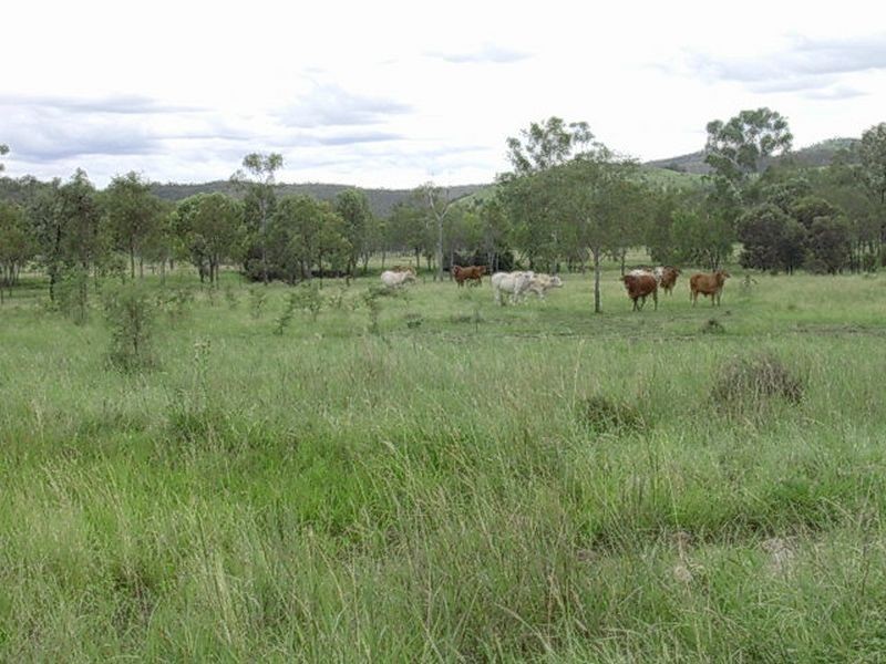 209 Barlyne Road, Gayndah QLD 4625
