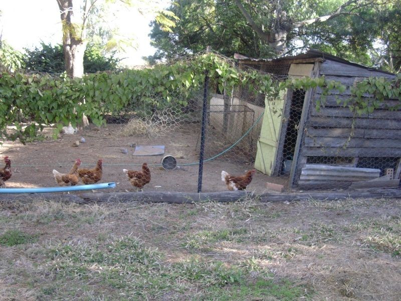 28 Barrow Street, Gayndah QLD 4625