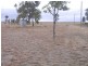 Shamrock Street, Byrnestown QLD 4625