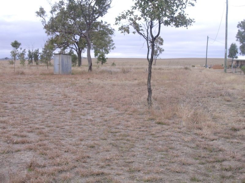 Shamrock Street, Byrnestown QLD 4625