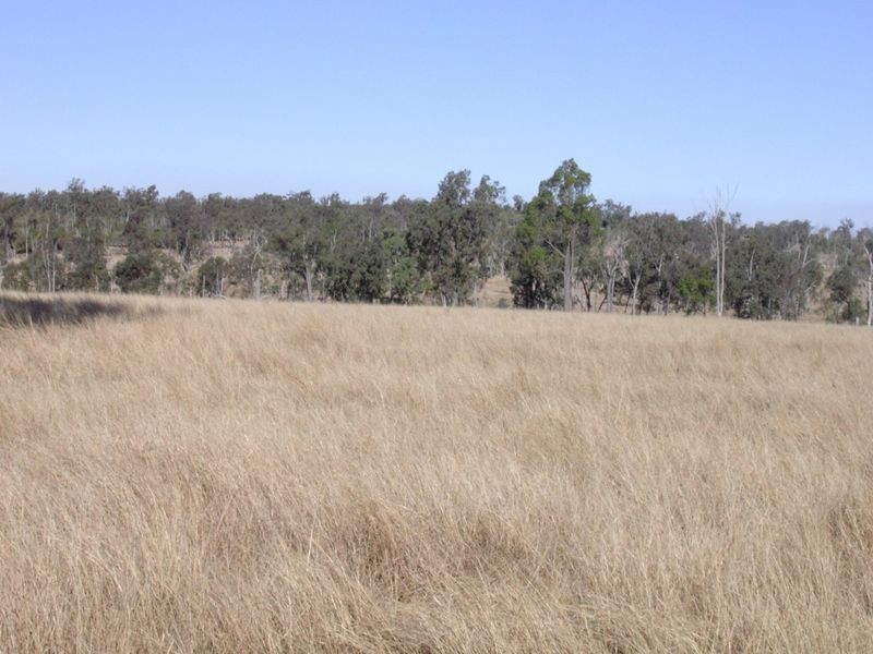 Hawkwood Road, Mundubbera QLD 4626