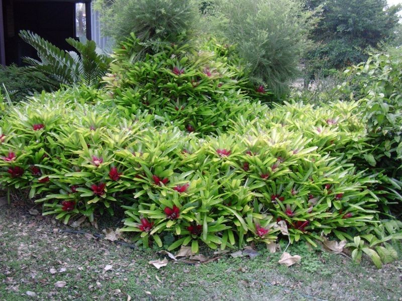 37 Bamboo Street, Gayndah QLD 4625