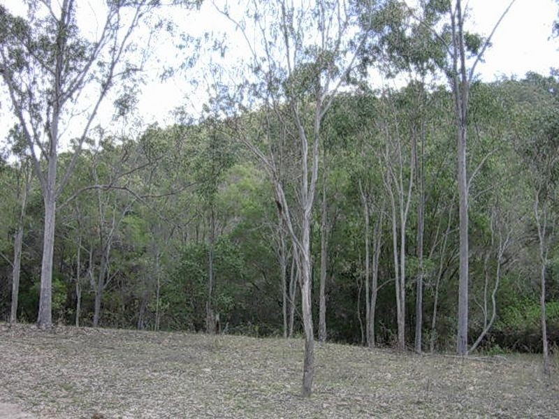 Lot 272 Plum Creek Road, Biggenden QLD 4621