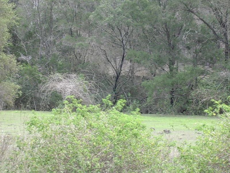 Lot 1 Plum Creek Road, Biggenden QLD 4621