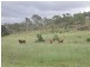 Lot 147 Wilson Valley Road, Coalstoun Lakes QLD 4621