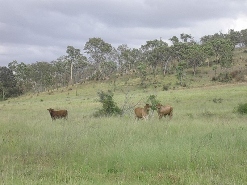 Lot 147 Wilson Valley Road, Coalstoun Lakes QLD 4621