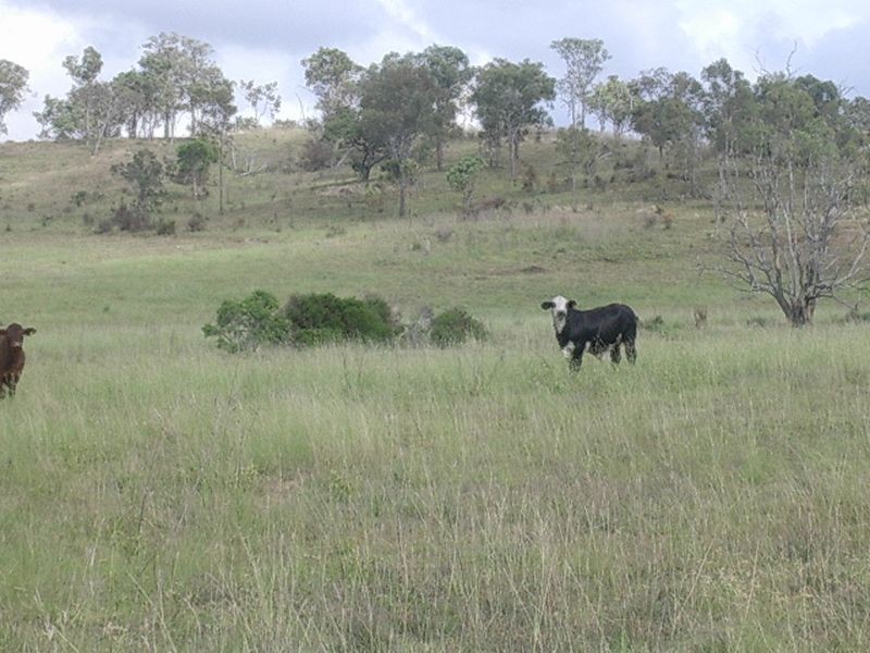 Lot 147 Wilson Valley Road, Coalstoun Lakes QLD 4621