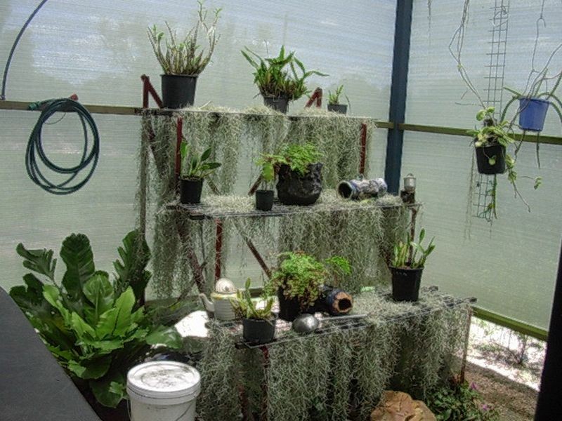 37 Boyd Road, Gayndah QLD 4625