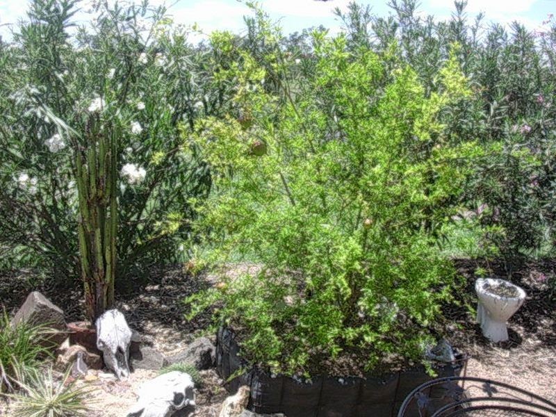 37 Boyd Road, Gayndah QLD 4625