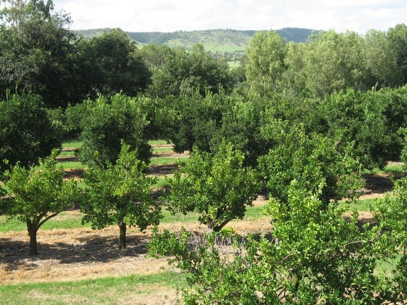Lot 22 Winifred Cobbo Street, Gayndah QLD 4625