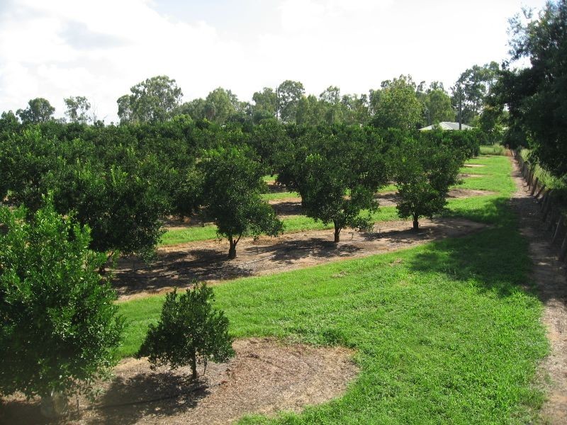 Lot 22 Winifred Cobbo Street, Gayndah QLD 4625
