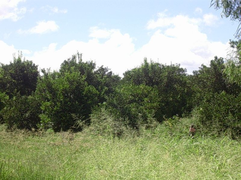 Lot 22 Winifred Cobbo Street, Gayndah QLD 4625