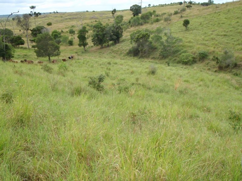 365 Mingo Road, Booyal QLD 4671