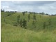 365 Mingo Road, Booyal QLD 4671