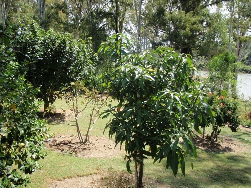 7-9 Old Maryborough Road, Gayndah QLD 4625