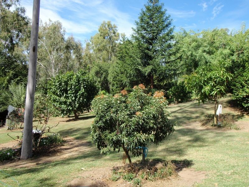 7-9 Old Maryborough Road, Gayndah QLD 4625