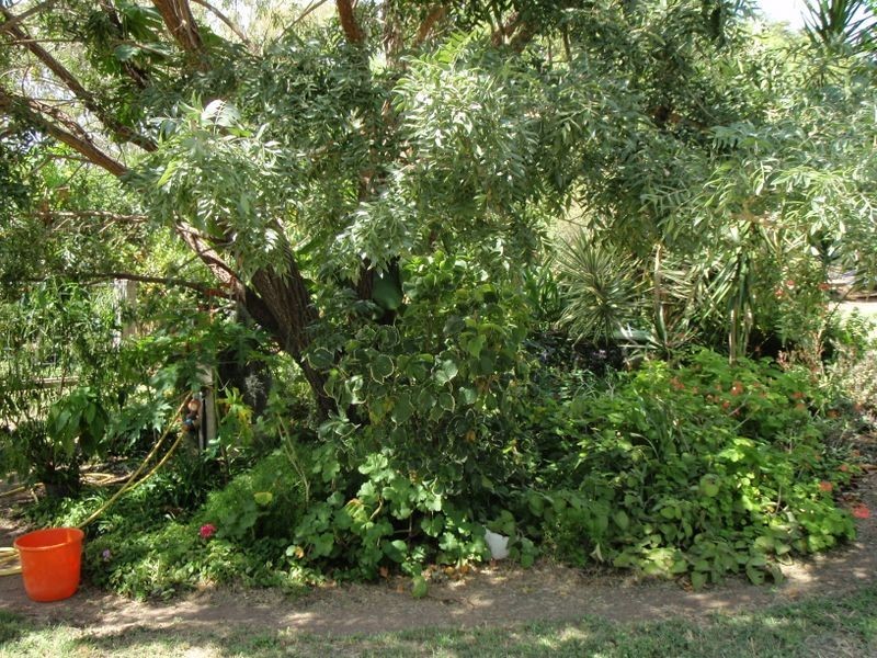 7-9 Old Maryborough Road, Gayndah QLD 4625