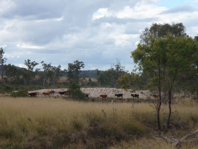 1929 Wuruma Dam Road, Abercorn QLD 4627