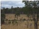1929 Wuruma Dam Road, Abercorn QLD 4627