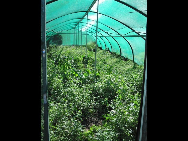 Mount Perry QLD 4671