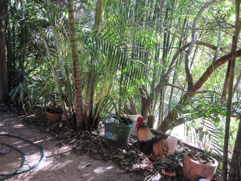 Mount Perry QLD 4671