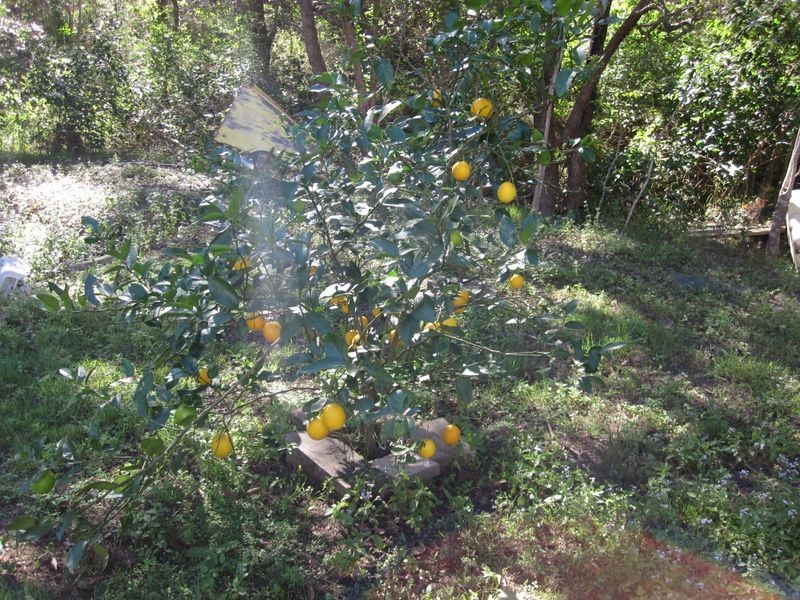 Mount Perry QLD 4671