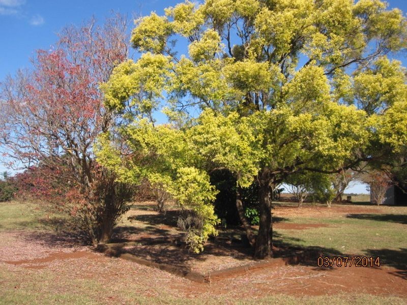 90 Merediths Road, Mundubbera QLD 4626