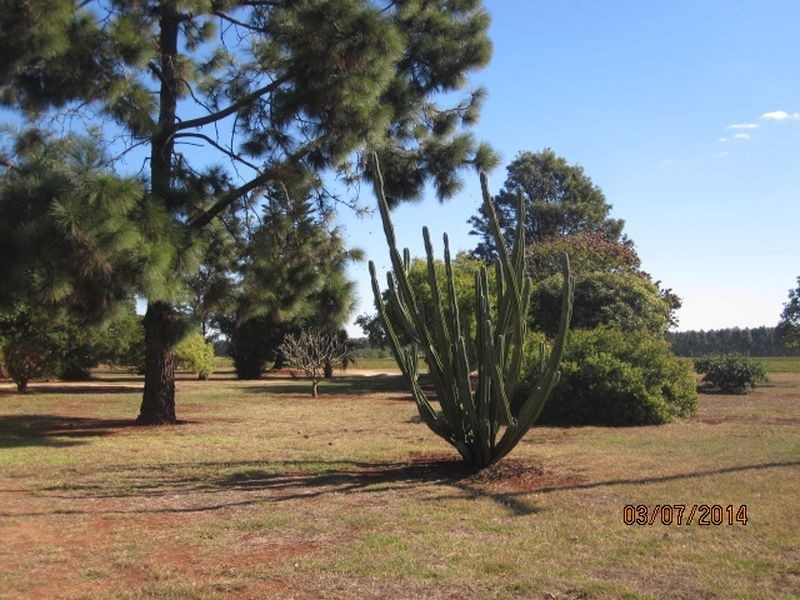 90 Merediths Road, Mundubbera QLD 4626