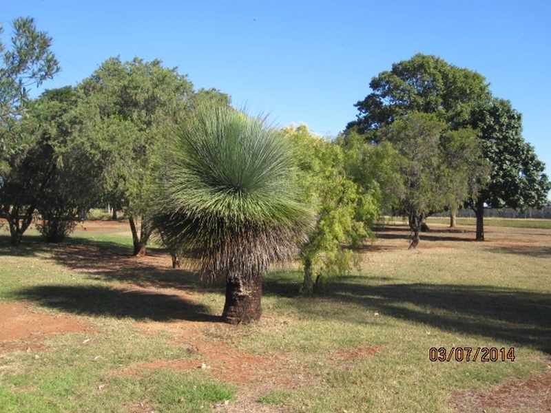 90 Merediths Road, Mundubbera QLD 4626