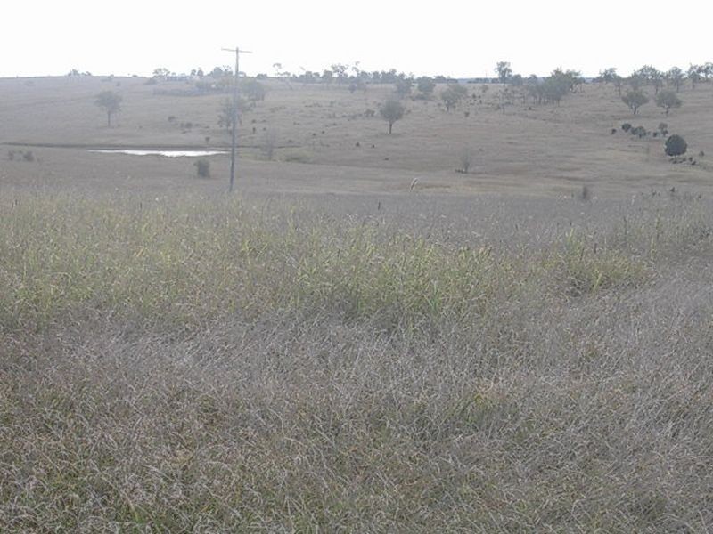 Lot 180 Coonabula-Eidsvold Road, Mundubbera QLD 4626