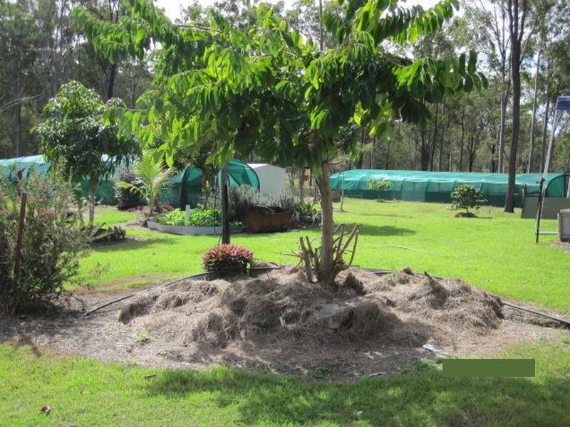 459 Swindle Creek Road, Biggenden QLD 4621