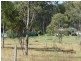459 Swindle Creek Road, Biggenden QLD 4621
