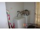 50 Blees Road, Mundubbera QLD 4626