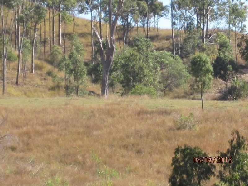 1 Tunnel Road, Mount Perry QLD 4671