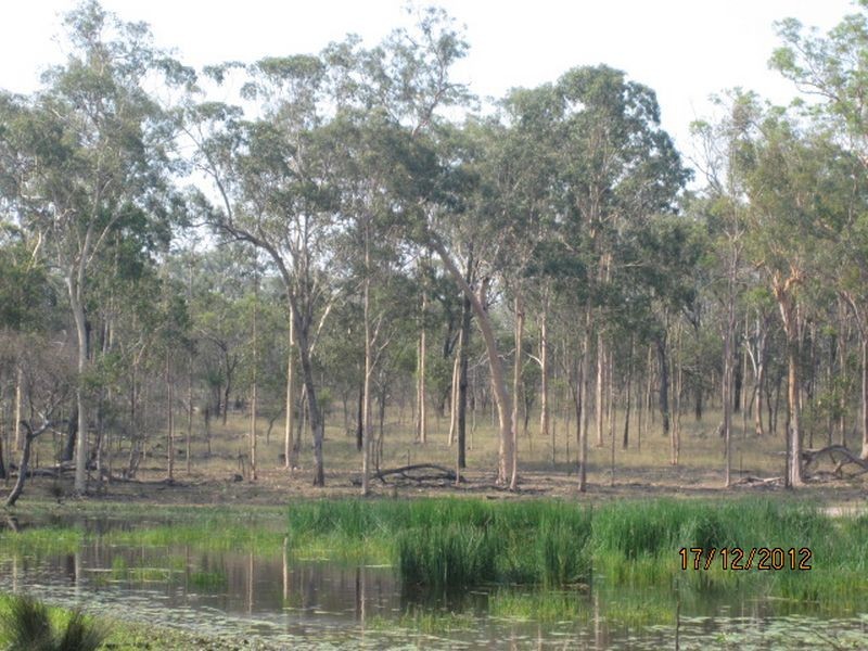 843 Kilrush Rd, Stonelands QLD 4612