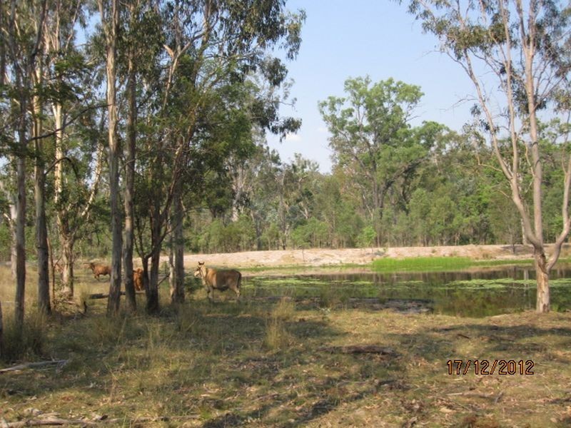 843 Kilrush Rd, Stonelands QLD 4612