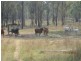 843 Kilrush Rd, Stonelands QLD 4612