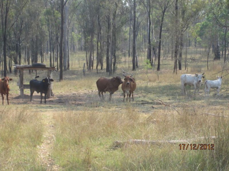 843 Kilrush Rd, Stonelands QLD 4612