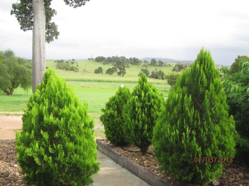 519 Wigton Road, Gayndah QLD 4625