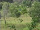 18416 Burnett Highway, Gayndah QLD 4625