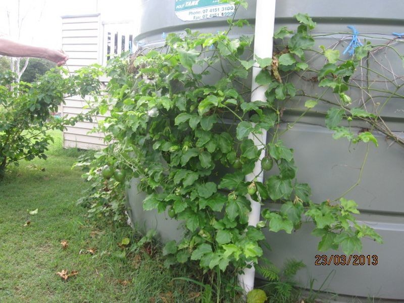 49 Edward Street, Biggenden QLD 4621