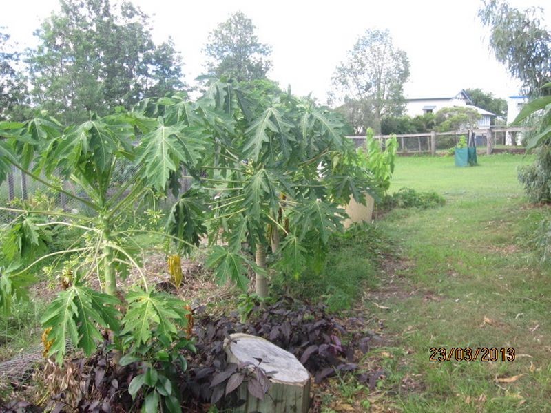 49 Edward Street, Biggenden QLD 4621