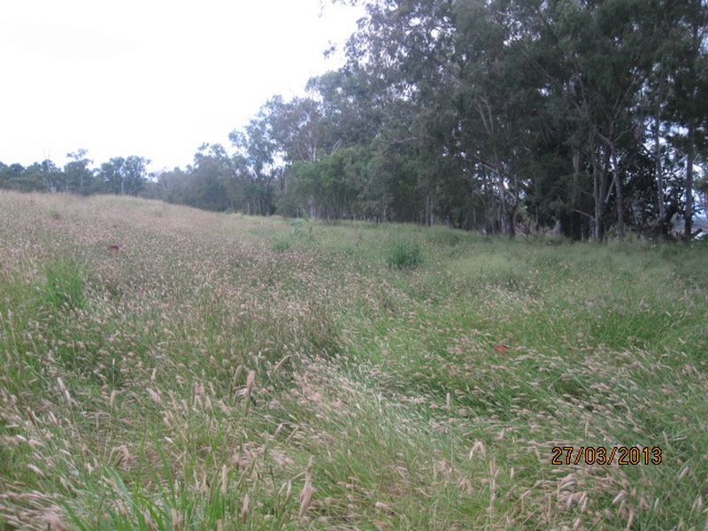 Lot 79 Mount Lawless Rd, Gayndah QLD 4625