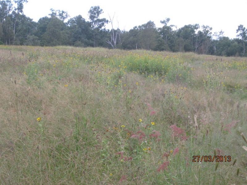 Lot 79 Mount Lawless Rd, Gayndah QLD 4625