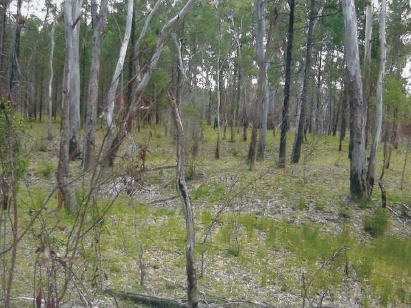 Ehrlicks Road, Durah QLD 4413