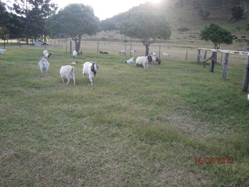 Coalstoun Lakes QLD 4621
